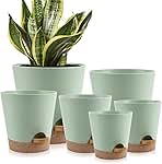 Indoor Self Watering Planters with Drainage Holes and Saucers, 8, 7, 6.5, 6, 5.5, 5 Inches, Green, 6 Pots