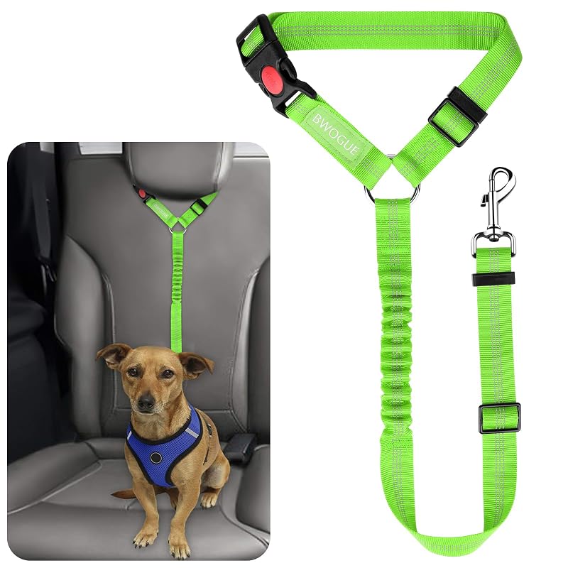 Cinto de segurança para cães em nylon refletivo com guia elástica BWOGUE, tamanho L, Verde