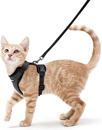 rabbitgoo - Arnés y correa para gato para pasear con el gato a prueba de fugas arnés suave y ajustable para gatos fácil control transpirable con