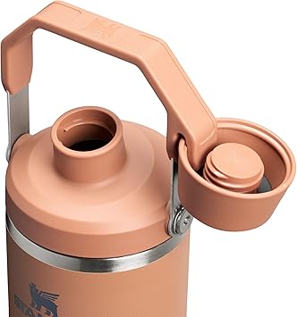 Stanley IceFlow 2.0 Fast Flow Tumbler with Handle 30 oz | Twist On Angled Spout Lid | Leakproof Water Bottle | Insulated Stainless Steel | BPA-Free | Toast