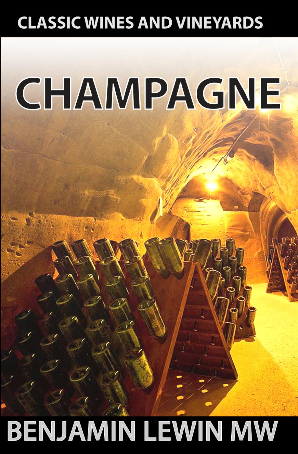 Champagne (Guides to Wines and Top Vineyards)