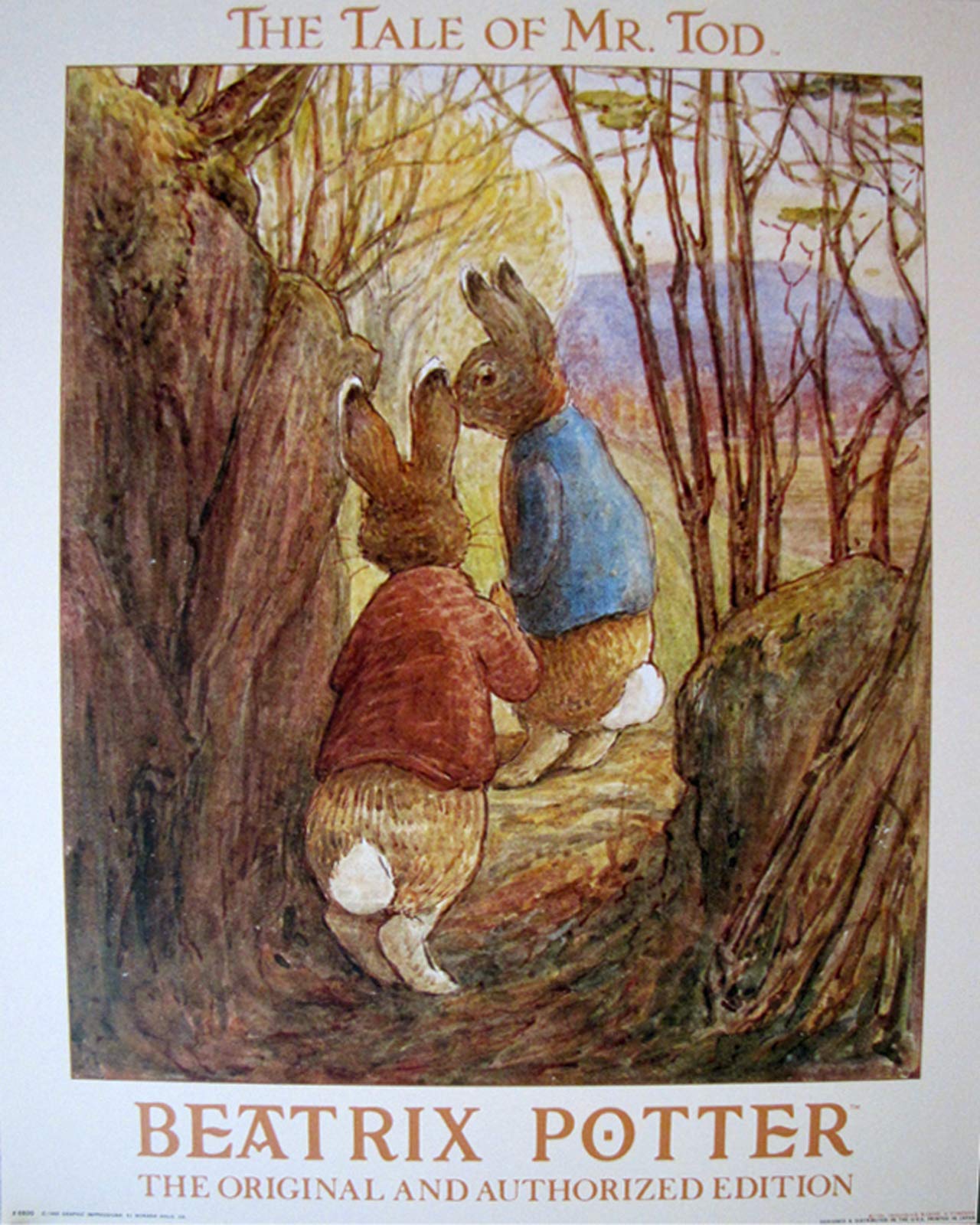 Beatrix Potter ピーターラビット　ポスター　額付き　ヴィンテージ Amazon.co.jp: ピーターラビットの物語 ビアトリックス ポッター 子供