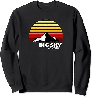 Sudadera Salomon Logo Hoodie Hombre Gris. Oferta