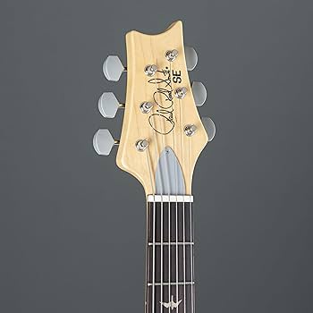 PRS（Paul Reed Smith） Silver Sky Paul Reed Smith 6 String SE Silver Sky Stone, Blue with