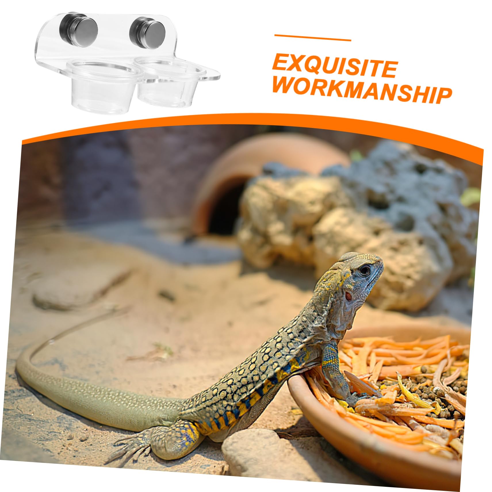 Yardwe 5 Juegos De Alimentador De Agua Magnético Terrario para Animales Alimentador De Gecko Repisa De Alimentación para Gecko Cuenco De Alimentación para Reptiles Recipientes para