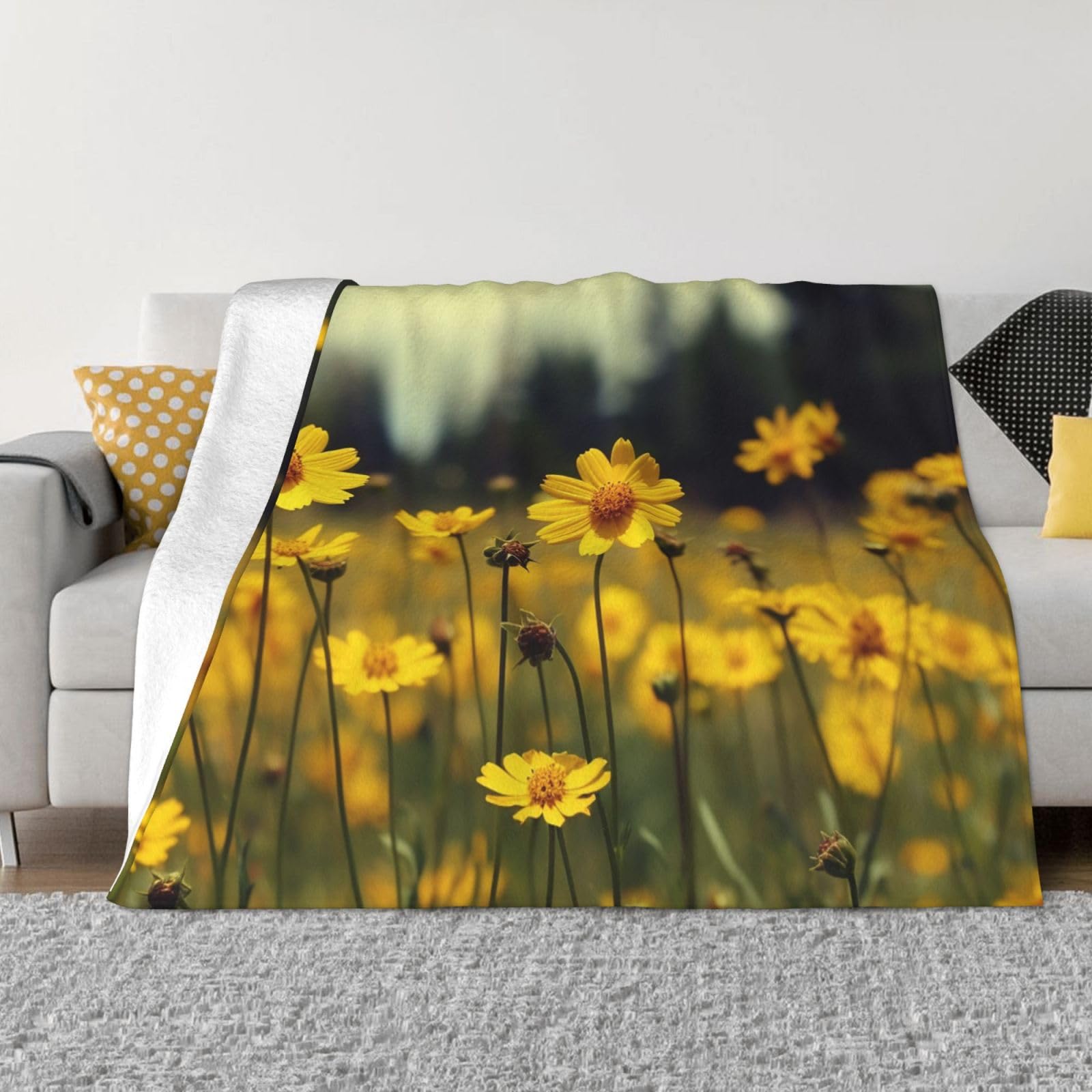 Couverture polaire chaude pour lit contre le froid grand plaid canapé doux