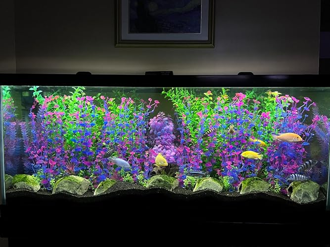 Review Image by An Amazon Buyer