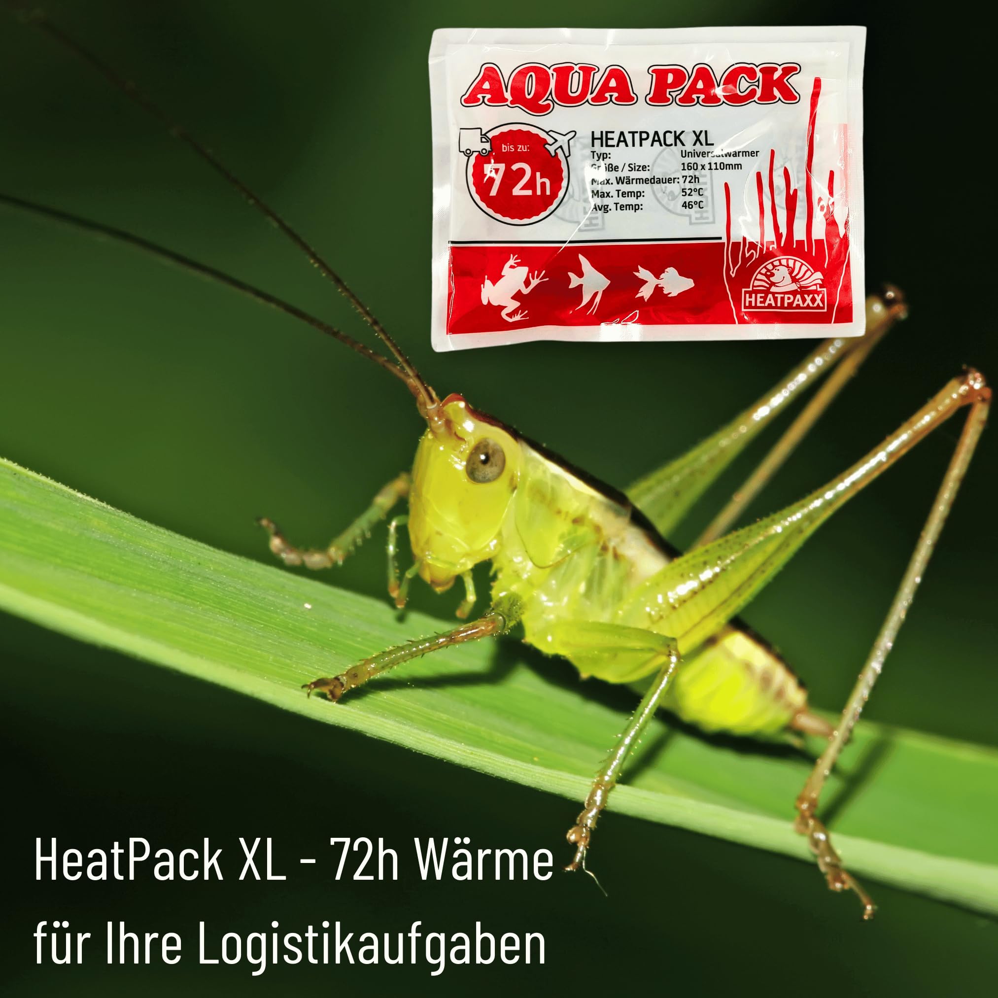 Heizkissen / Heatpack | 40h / 72h | Für den Versand von Tieren und Pfl