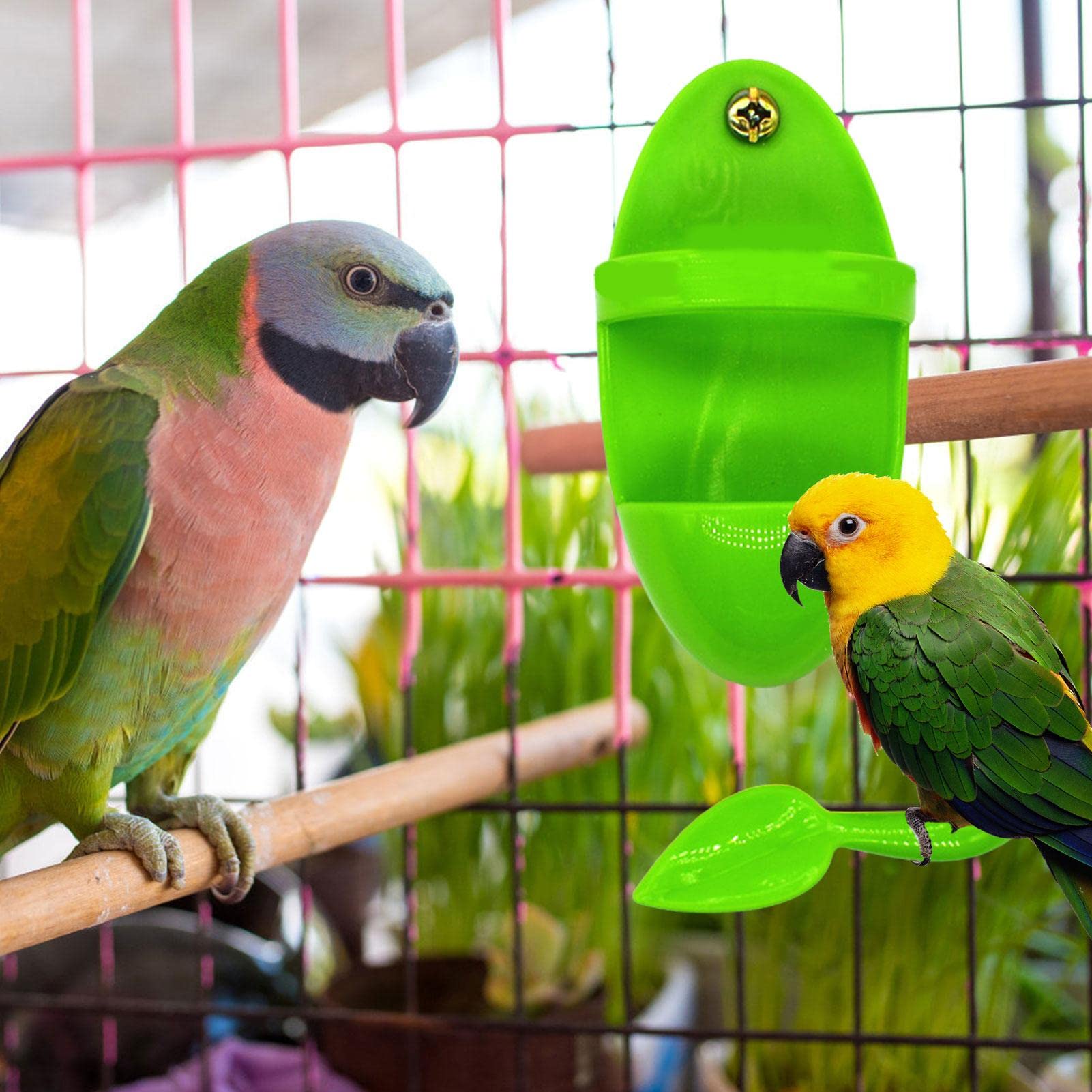 Porte-os de seiche pour Cage à Oiseaux | Cuttlebone Stand Cuddle Bone Feeding Cup Rack - Os de seiche pour becs Pointus, Oiseaux naturels Calcium Perroquets Calopsittes Perruche