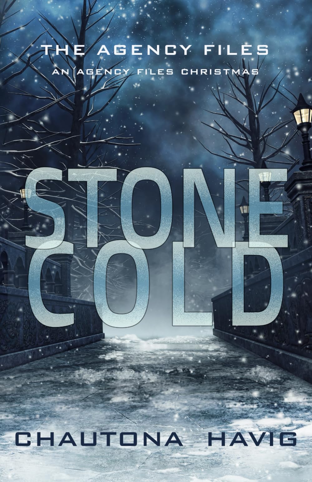 Stone Cold: An Agency Christmas (The Agency Files)