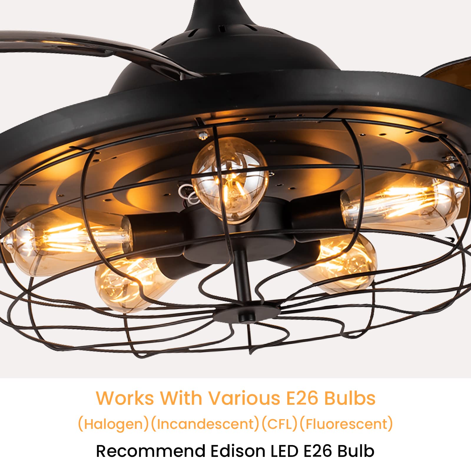 https://m.media-amazon.com/images/I/71eOqiGWvPL.jpg