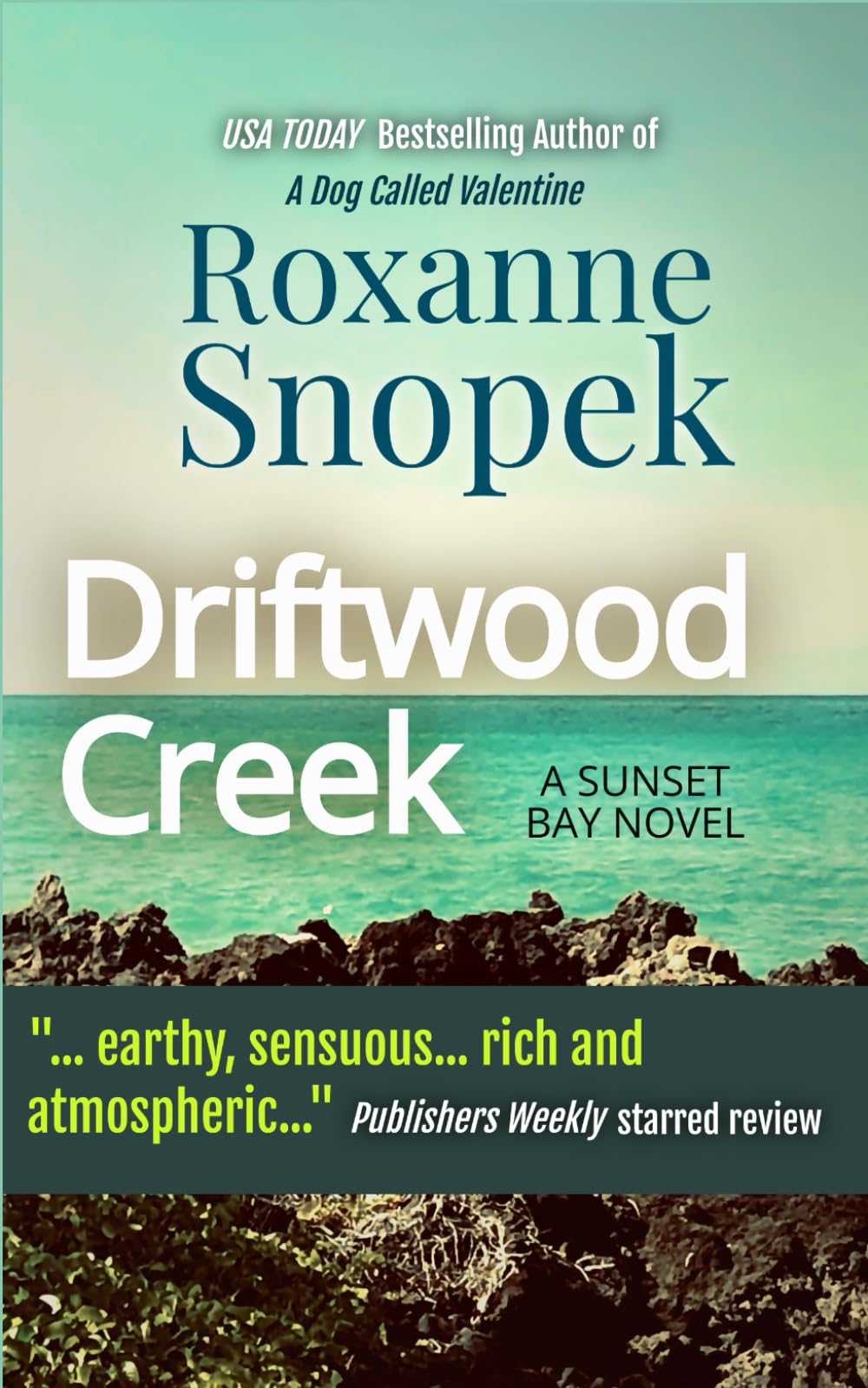 Driftwood Creek: Women's Fiction Romance (Sunset Bay)