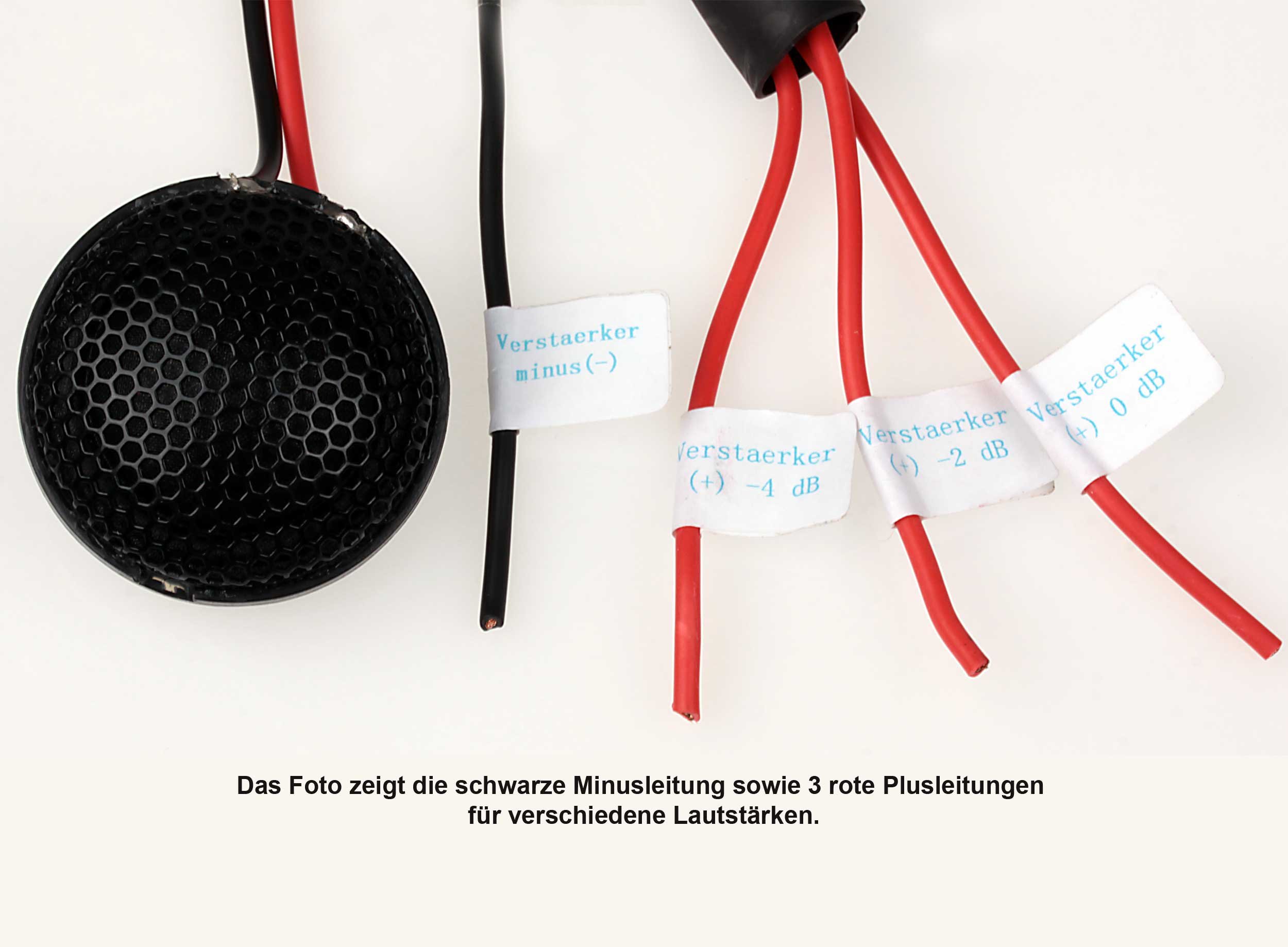 Reckhorn Autolautsprecher EIN Paar T-1.0 Kalottenhochtöner