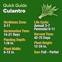 Vista 235 de HOME GROWN Más de 1000 semillas de cilantro para plantar en interiores o exteriores, hierbas tradicionales sin OMG, semillas de plantas de cilantro
