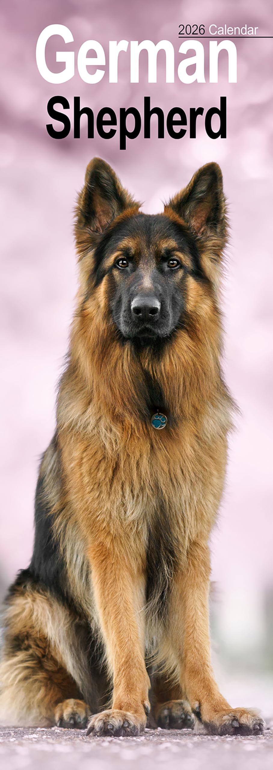 TALLON 2027 CALENDARS -'CRAZY ANIMALS'.  CHOOSE ANY TWO CALENDARS FOR £6.00