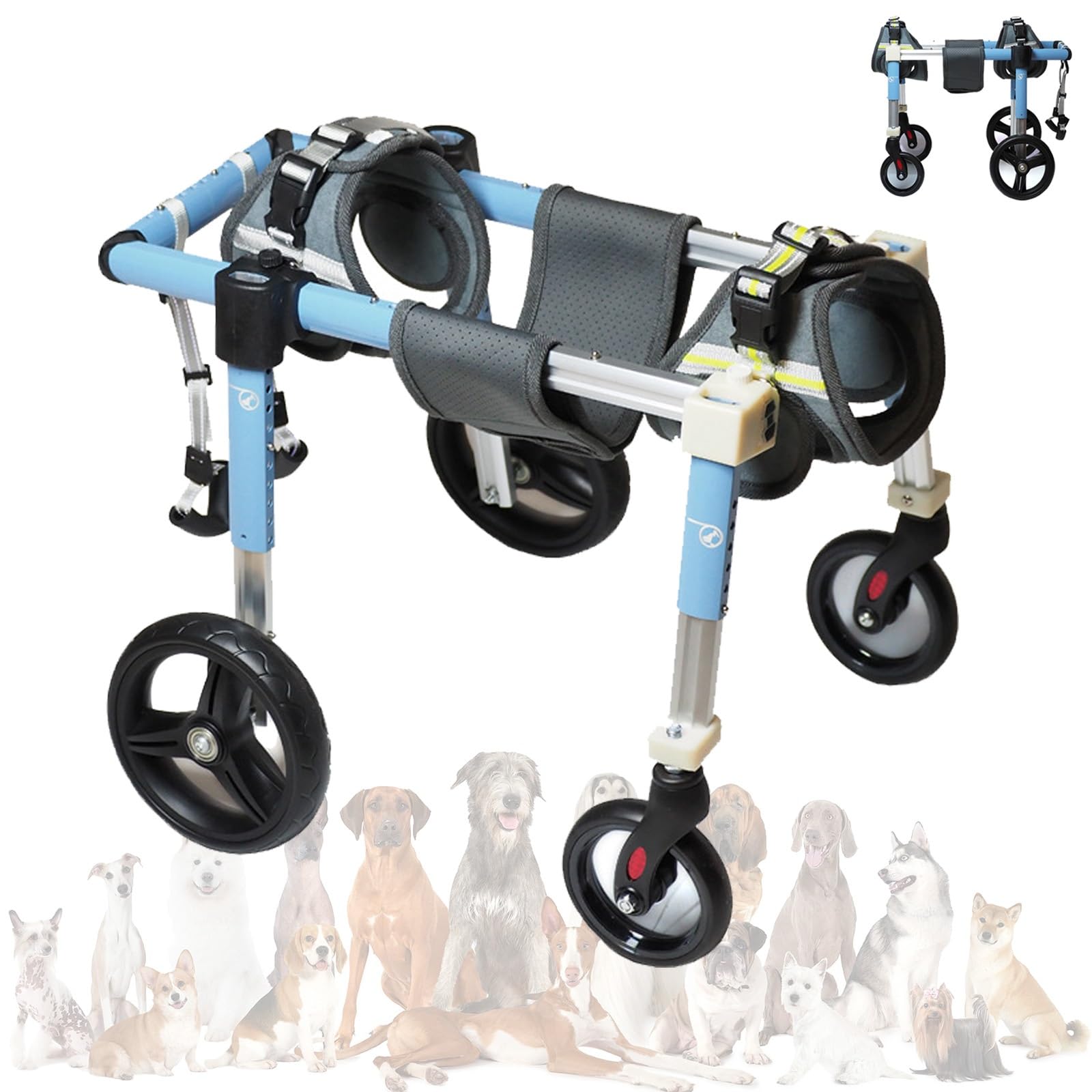 Fauteuil pour chien paralysé et blessé pour retrouver les promenades