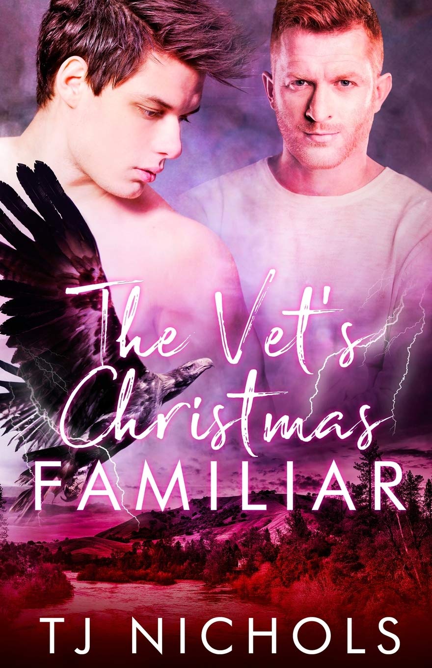 The Vet's Christmas Familiar (Familiar Mates, Band 4)