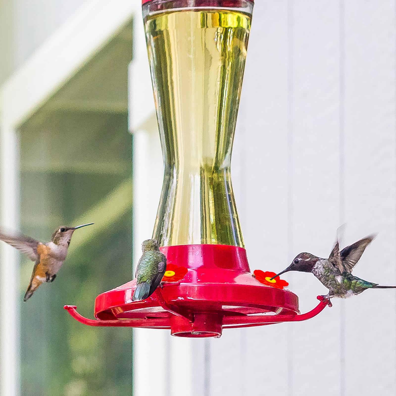 Amazon.com : 20pcs Hummingbird Feeder Replacement Flowers with 2