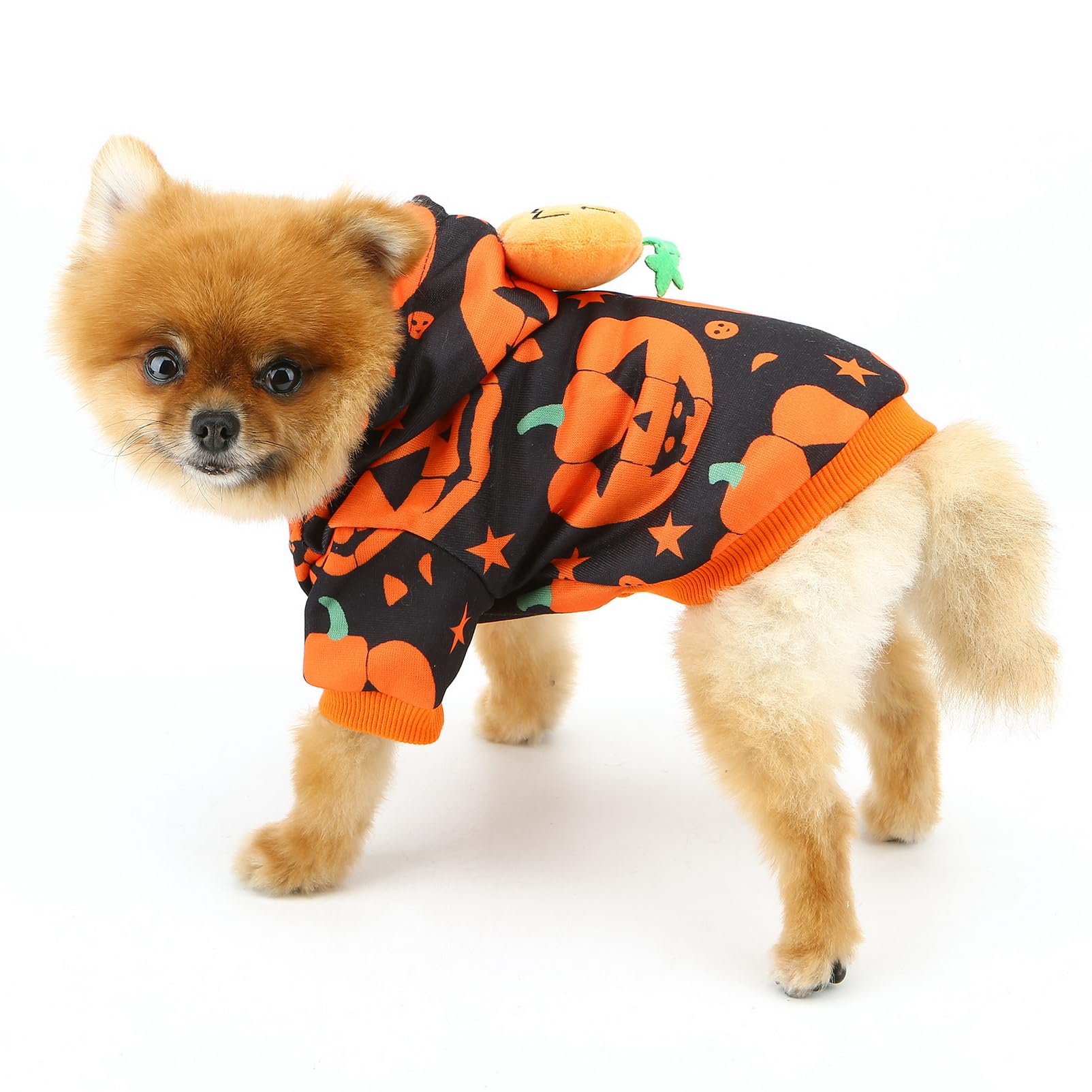 SMALLLEE_LUCKY_STORE Fleece Lined Dog Halloween Costumes Puppy Hoodies Pumpkin Pet Sweater for Small Dog with Pumpkin Decoration Warm Fall Winter Holidays Cosplay Party Cat Pullover - Image 3