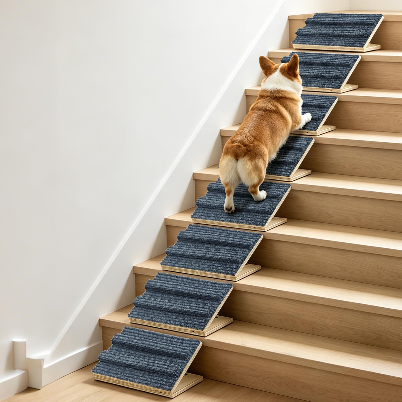 Photo 1 of Dog Ramp for Stairs for Small Dogs Up to 40 lbs - Adjustable Dog Stair Ramp with Non-Slip Carpet, Foldable Pet Ramp for Stairs, Dog Ramp Stairs for Senior Dogs, Puppies, Bed, Sofa (8-Pack)