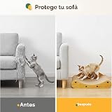 Ver la foto 5