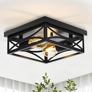 Ceiling Light Farmhouse Flush Mount Ceiling Light 2-Light Light fixtures Ceiling Mount Modern Square Black Light Fixture Kitchen