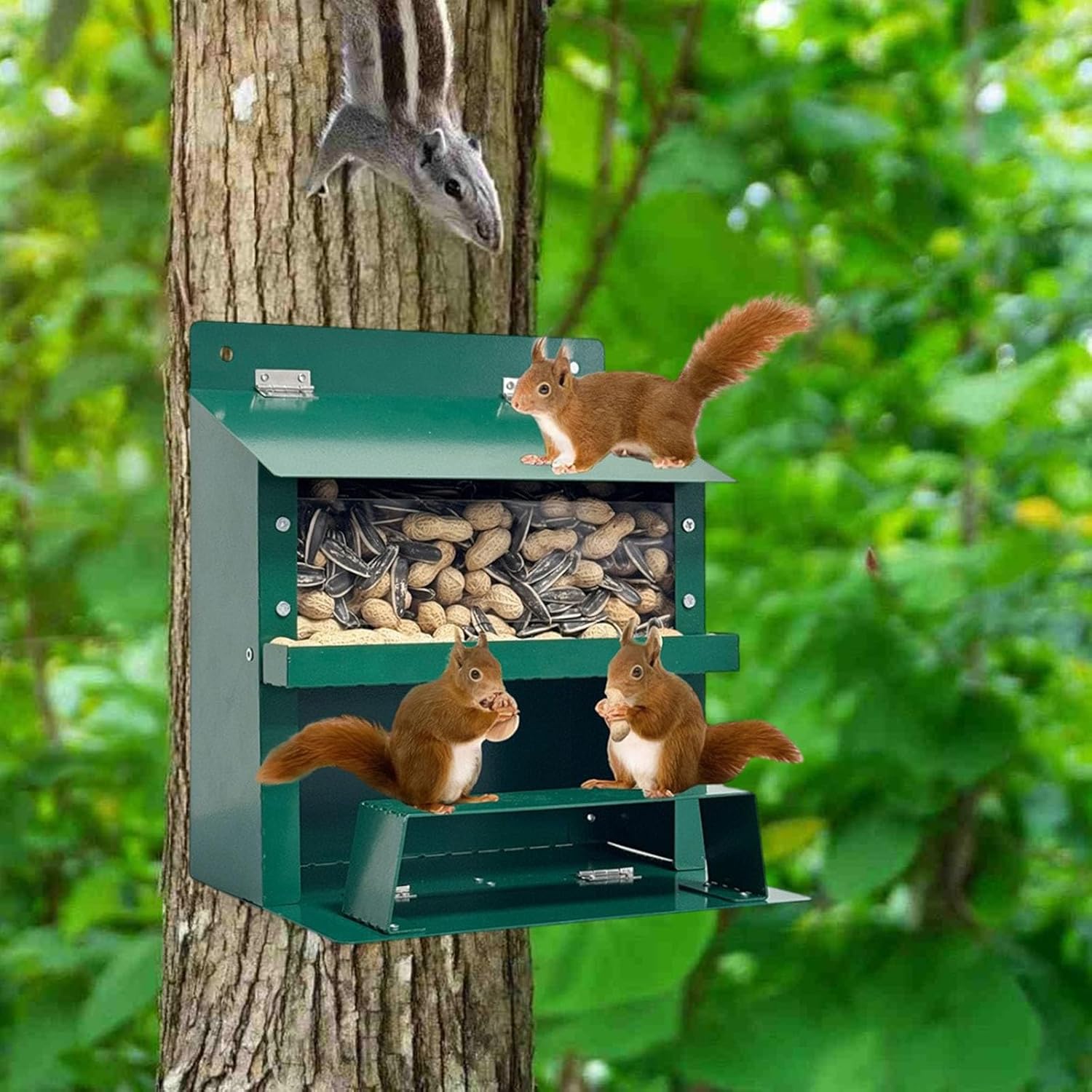 Squirrel Feeder, Metal Squirrel Feeder with Water Roof, Chipmunk Picnic Table House Outdoors for Outside Hanging Corn Nut