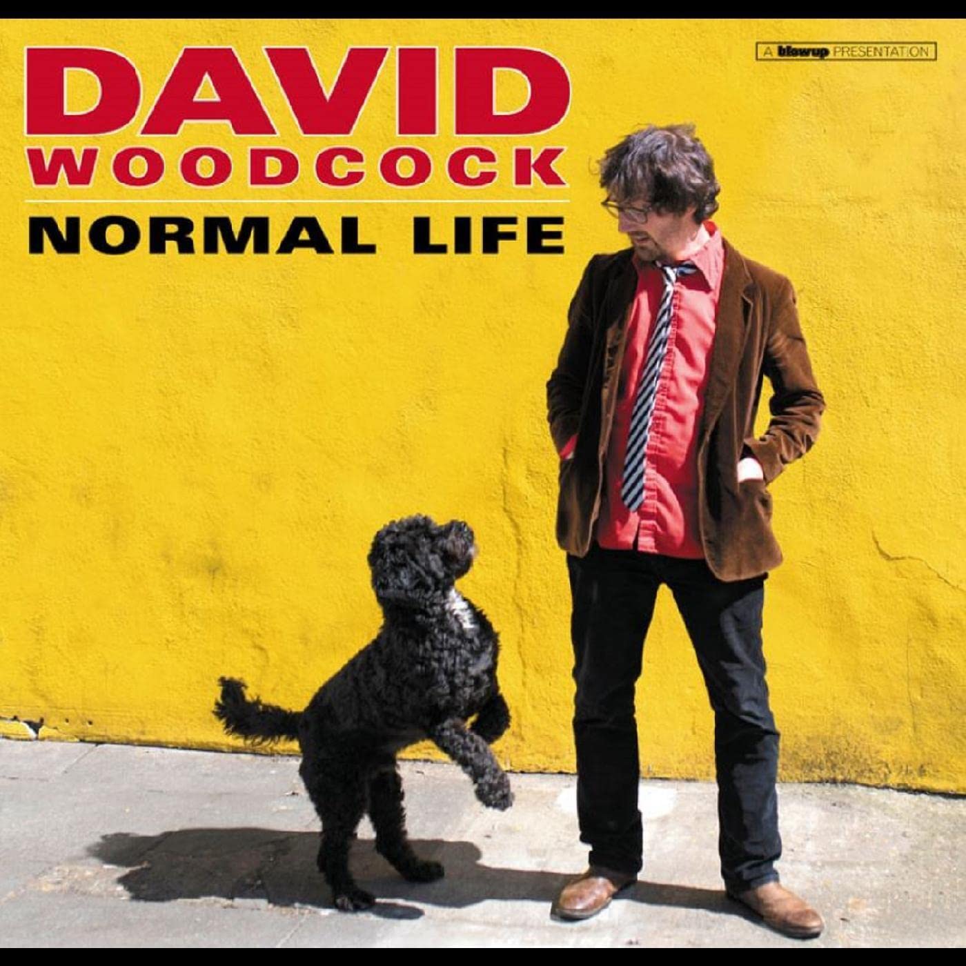 Normal Life [VINYL]