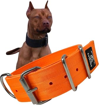 SparkDog 2 Working Dog Collar Heavy Duty 4-Ply Nylon & Polyester Webbing, Stainless Steel Hardware, Tactical Style for Pitbulls, Medium & Large Dogs 14-20" Bright Orange, 2" Width