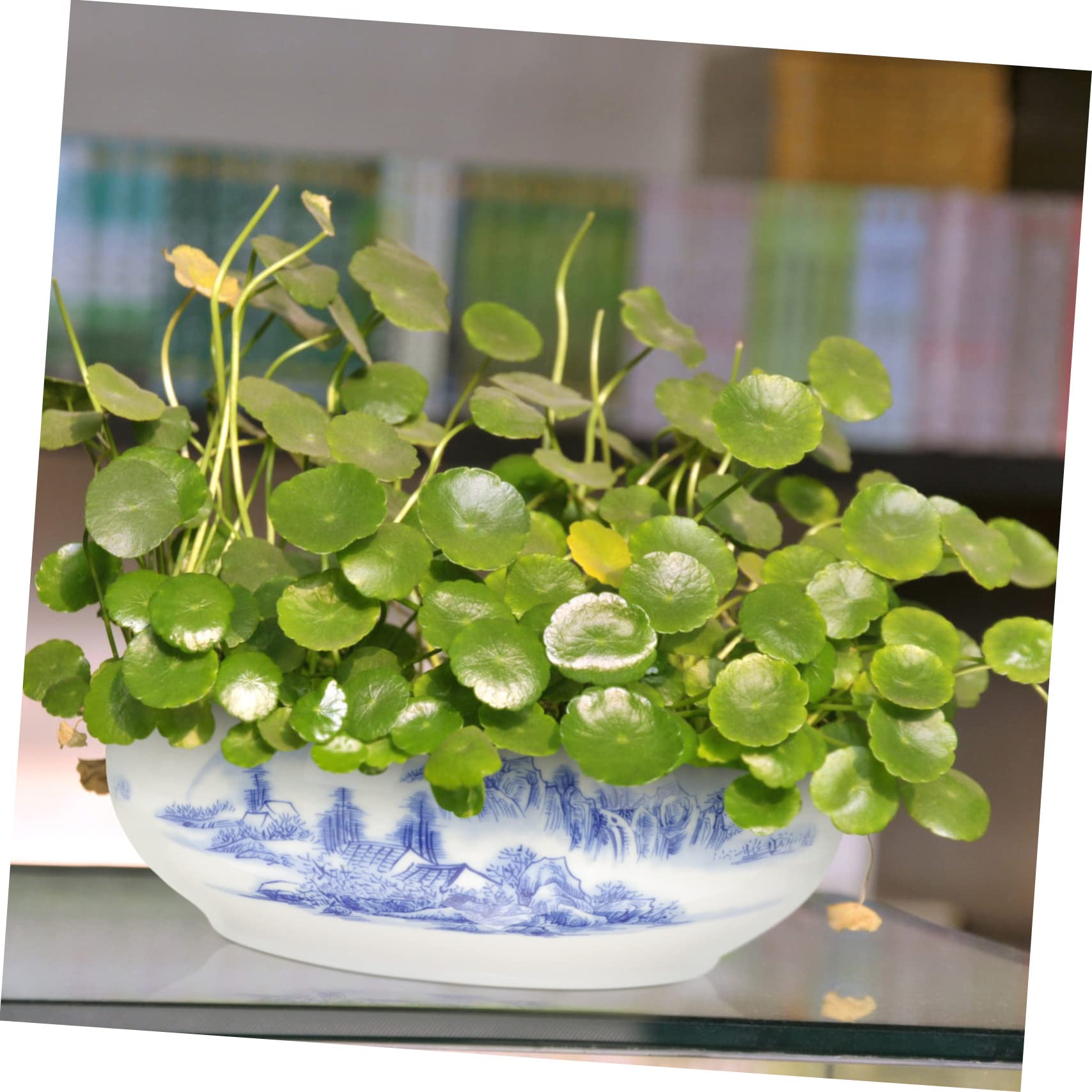 Blumentopf und Kreativ Gestaltet im Chinesischen Stil mit Lotusform Keramik Hydroponischer Handgefertigt für Hydrokultur und Dekoration im Zuhause oder Büro