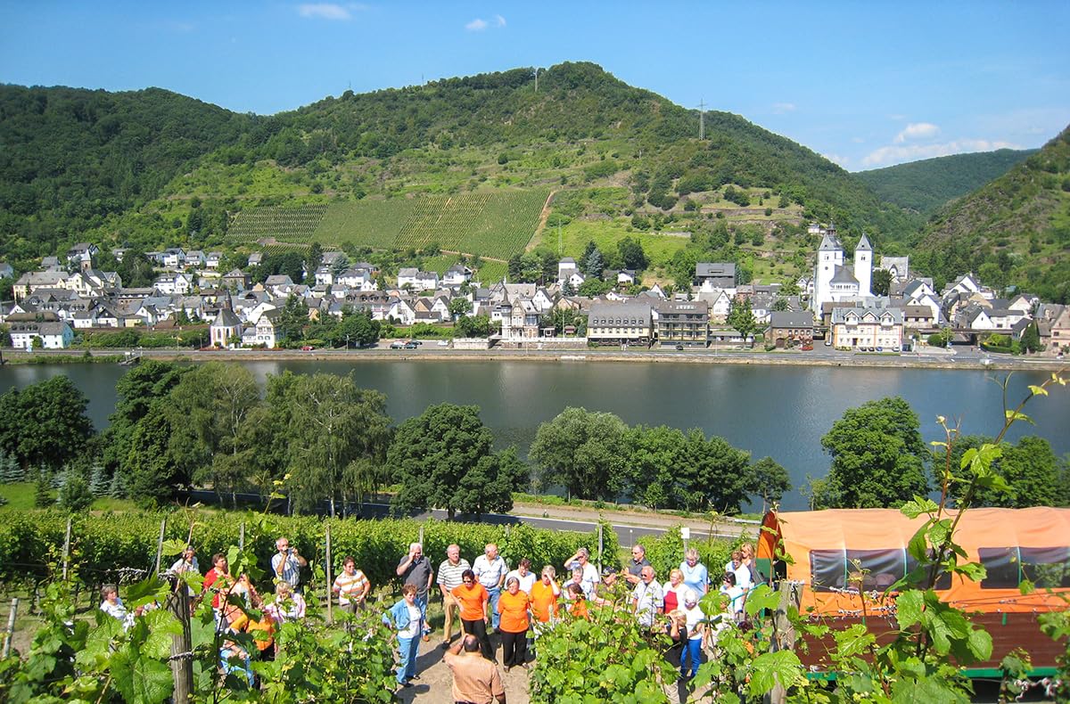 JOCHEN SCHWEIZER Geschenkgutschein: Weinausflug & Schifffahrt auf der Mosel Bullay
