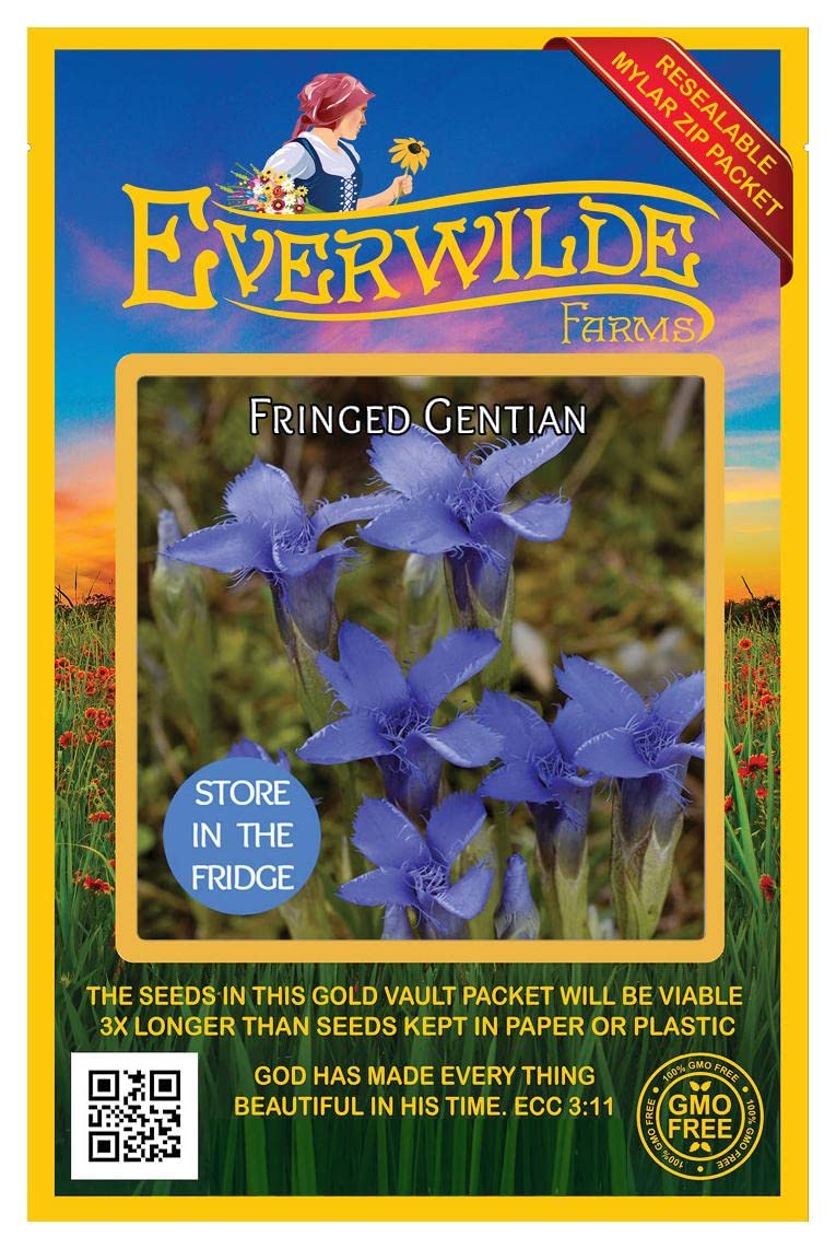 Everwilde Farms - 250 Fringed Gentian Native Wildflower Seeds - Gold Vault Seed Packet