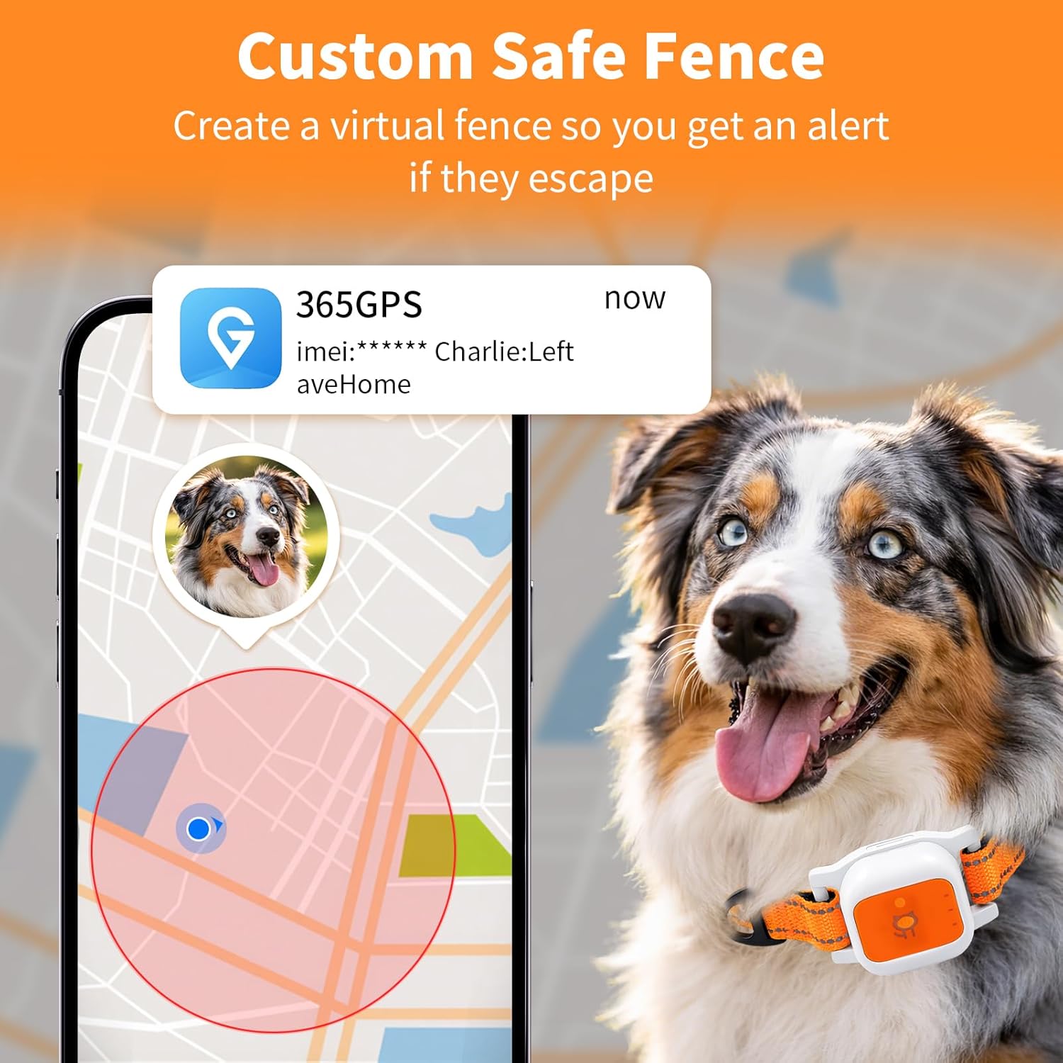 GPS Pet Tracker Collar for Dogs (15.4″-22″Neck), Real-Time Location Tracking, GPS/WiFi/LBS Positioning, Virtual Fence, Historical Route, Activity Monitor, Sound & Light Alert, Lightweight