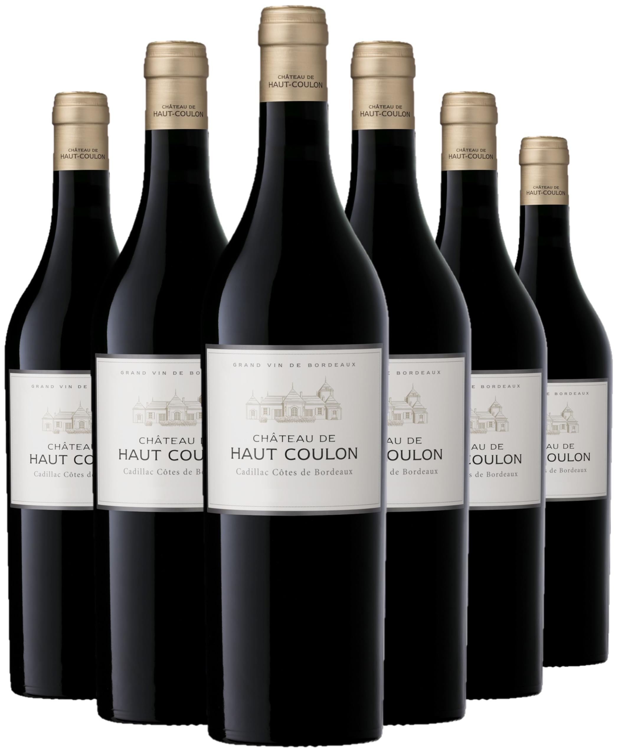 Château de Haut-Coulon - AOP Cadillac Côtes de Bordeaux - Vin Rouge - Terra Vitis - Lot de 6 bouteilles x 75cl