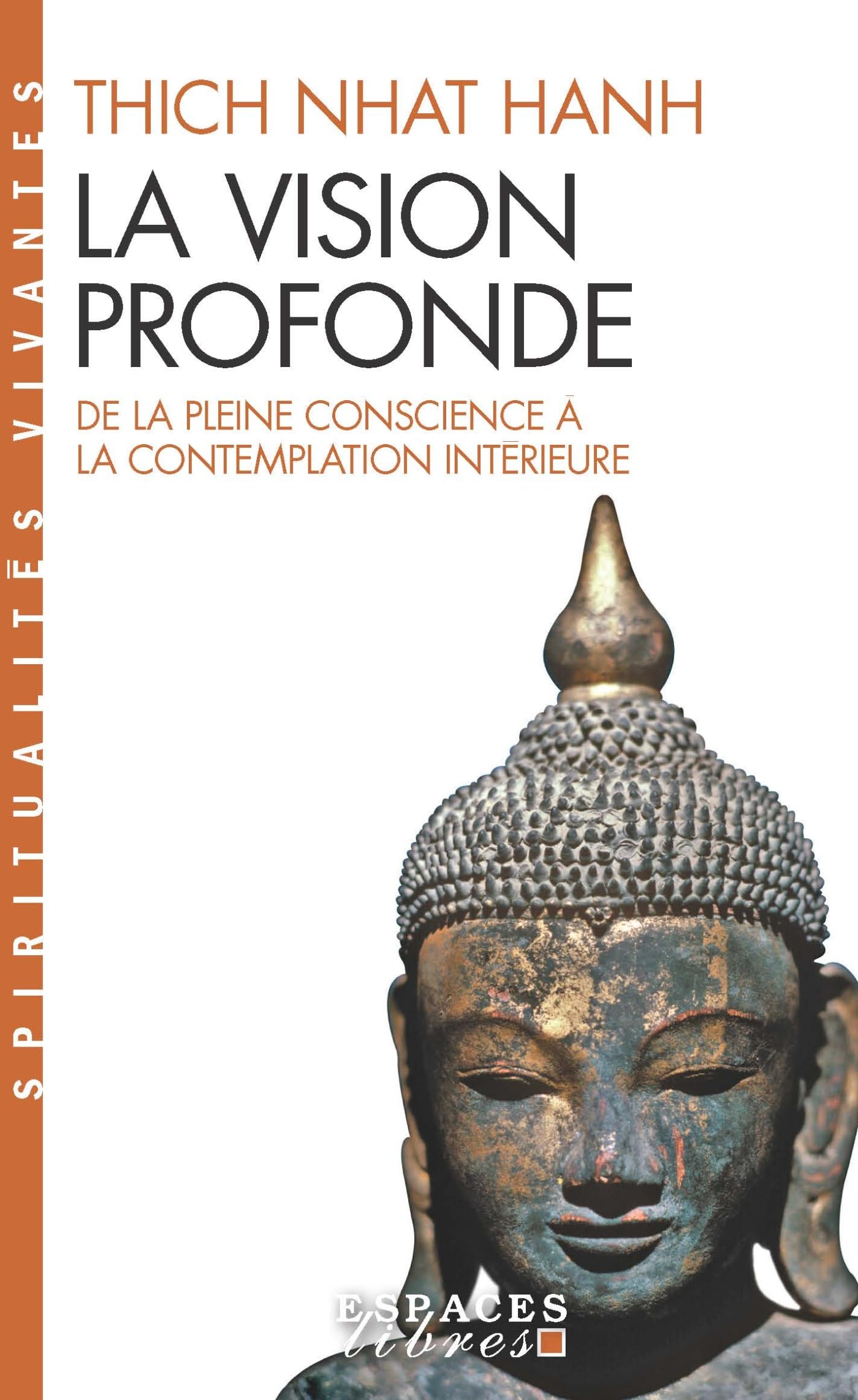 La Vision profonde (Espaces Libres - Spiritualités Vivantes)