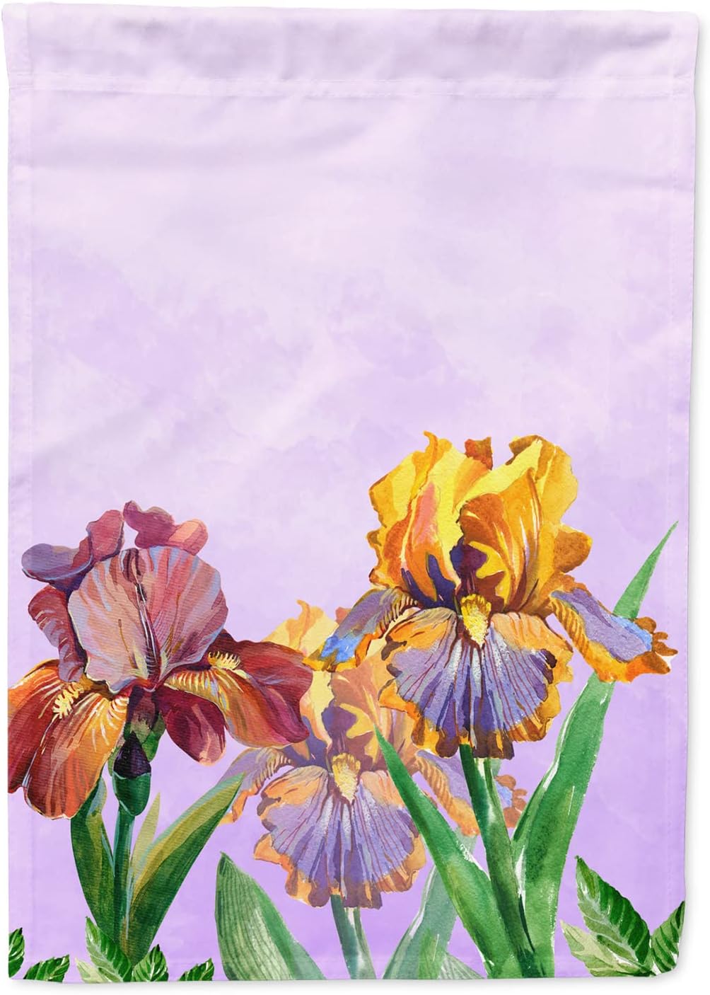 Caroline's Treasures BB7445CHF Purple and Yellow Iris House Flag Large Porch Sleeve Pole Decorative Outside Yard Banner Artwork Wall Hanging, Polyester, House Size, Multicolor