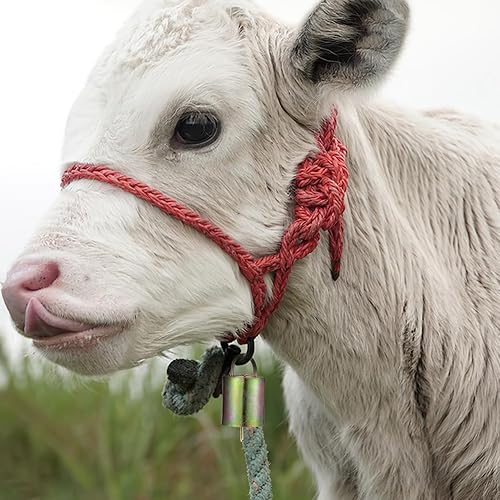 Miniatura 6 de 8 campanas de cabra de cobre para collares de ganado, campanas de metal duraderas con diseño rústico para decoración de granja y uso festivo