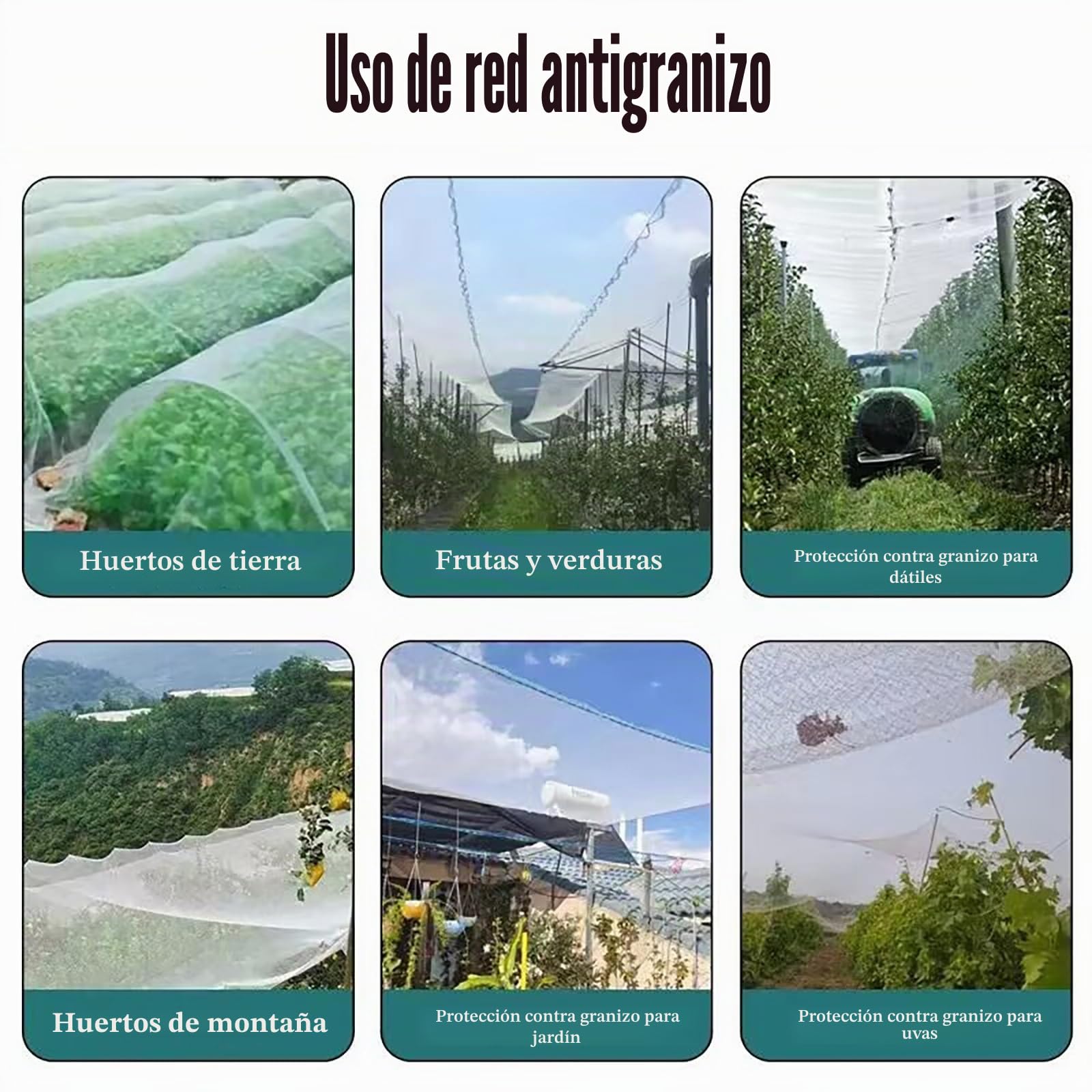 Malla Antigranizo para Plantas, Huerto y Jardín - Protección Frutas y Verduras, 5 mm, Cortable, Reutilizable - Ideal para Invernaderos y Árboles Frutales(6M x 10 M)