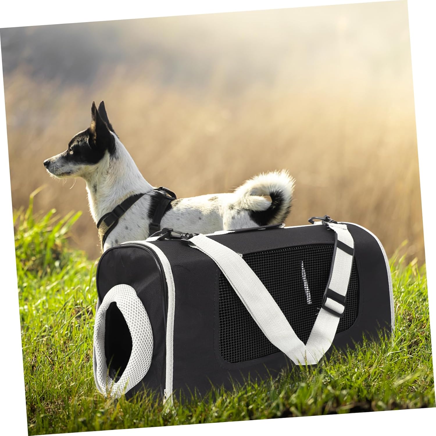 Portable Outdoor Pet Storage Bag for Cats Breathable Travel Pouch with Handheld Design for Hiking Shopping and Subway Travel for Cat Owners