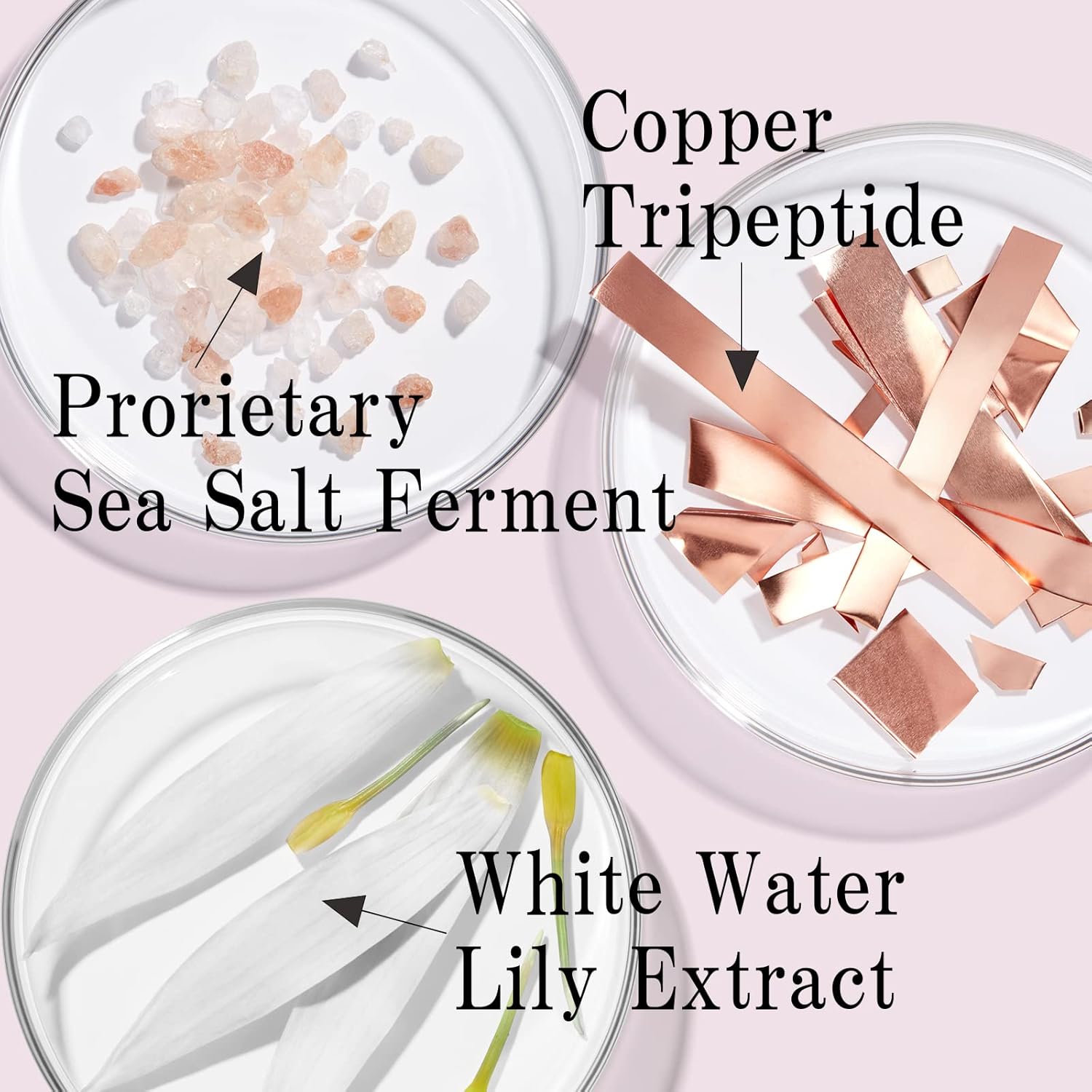 1年保証 Strivectin ストリベクチン Sdアドバンスドプラス 60ml 10種類のコラーゲンの生成促進 年齢肌にハリ 弾力 潤いを エイジングケアクリーム 保湿クリーム Acerosdelnayar Com Mx
