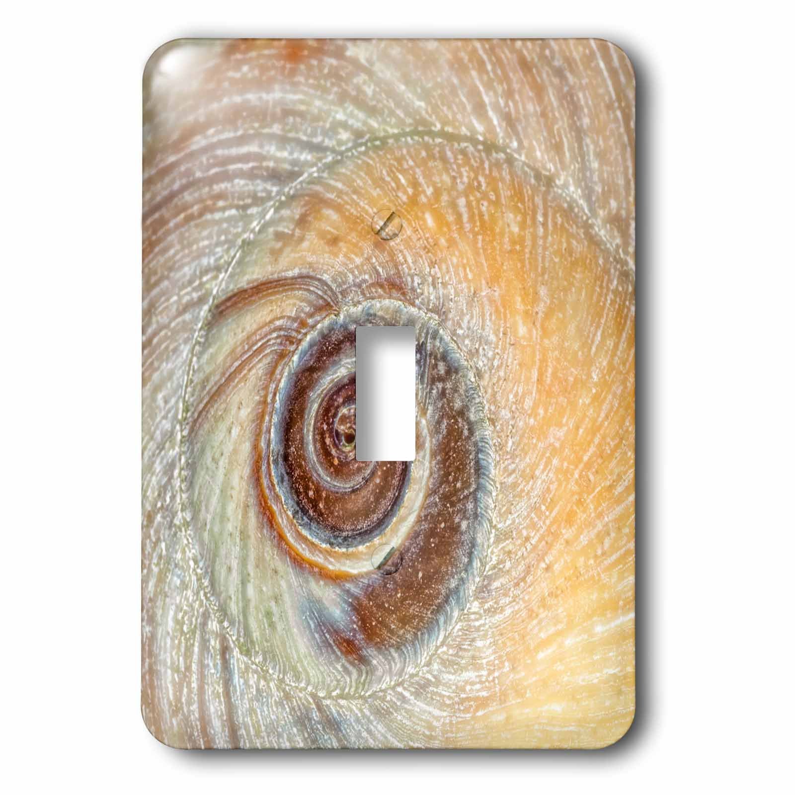 Interrupteur de lune coquille d'escargot Seabeck pour plaque murale simple