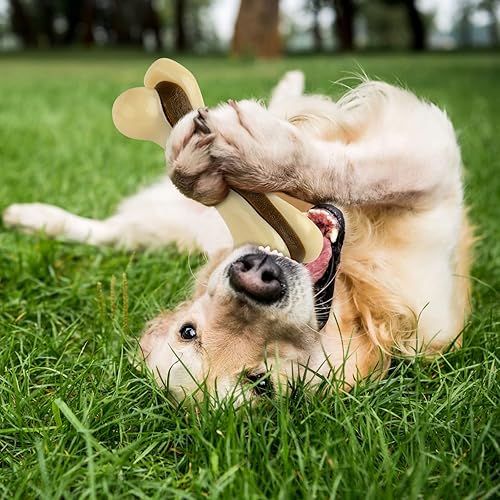 Vista 29 de Sosation Juguetes para perros con forma de huesos para masticadores agresivos, paquete de 2 juguetes para masticar para cachorros, de nailon, sabor