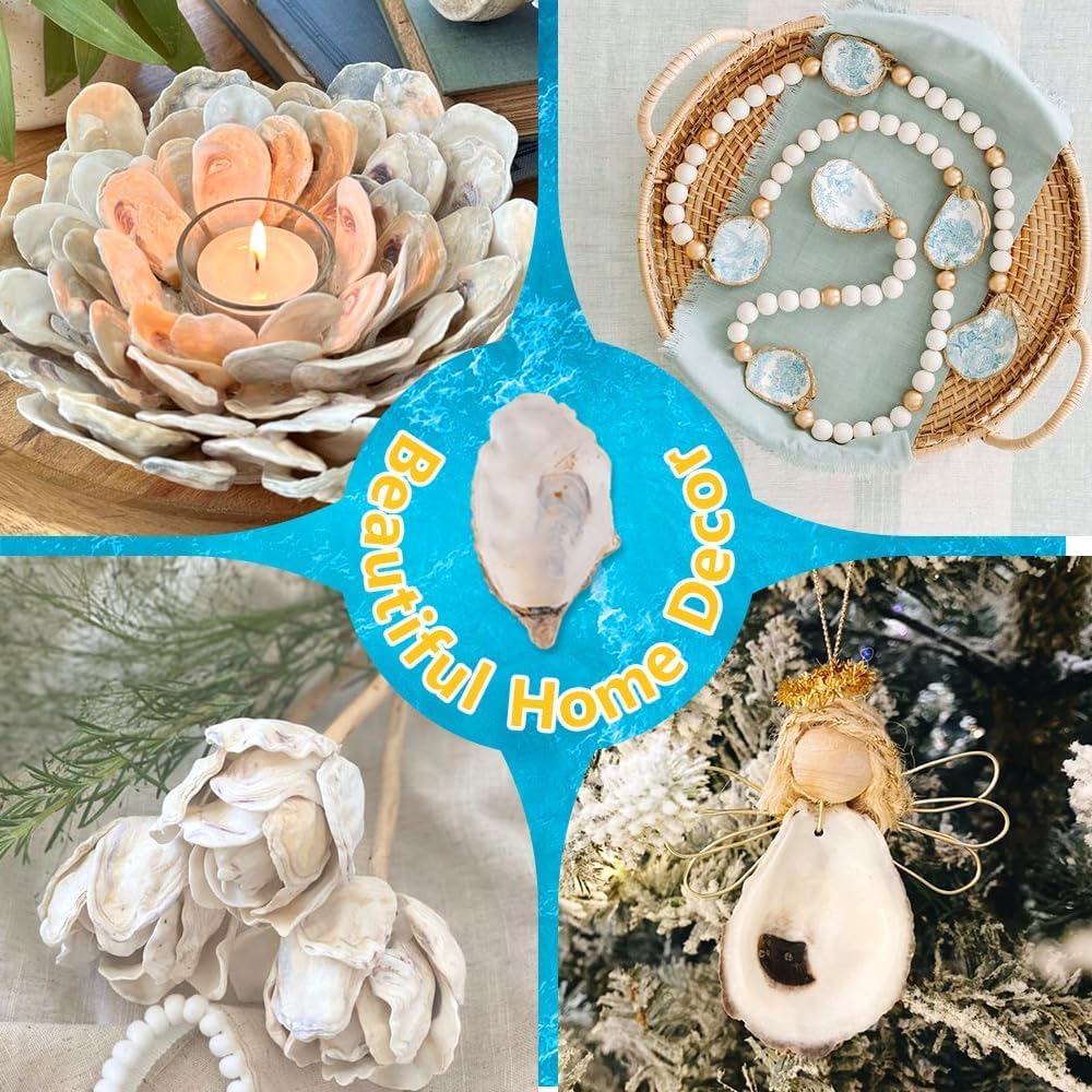 4"-5" Large Oyster Shells for Crafts -15PCS Real Natural Oyster Shells Bulk for Easter Egg Fillers Christmas, Vase Filler, Home Decor, DIY, Candle Making, Sea Shells for Crafting, Wedding Invitation