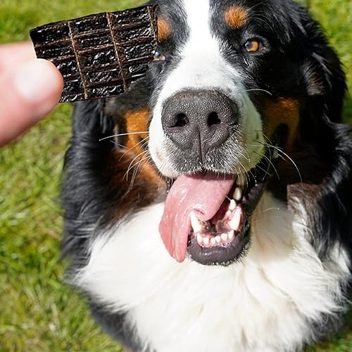 Miniatura 5 de Golosinas para perros de 15 onzas, paquete de golosinas de hígado de res naturales reales para perros. Golosinas irresistibles para perros de todas