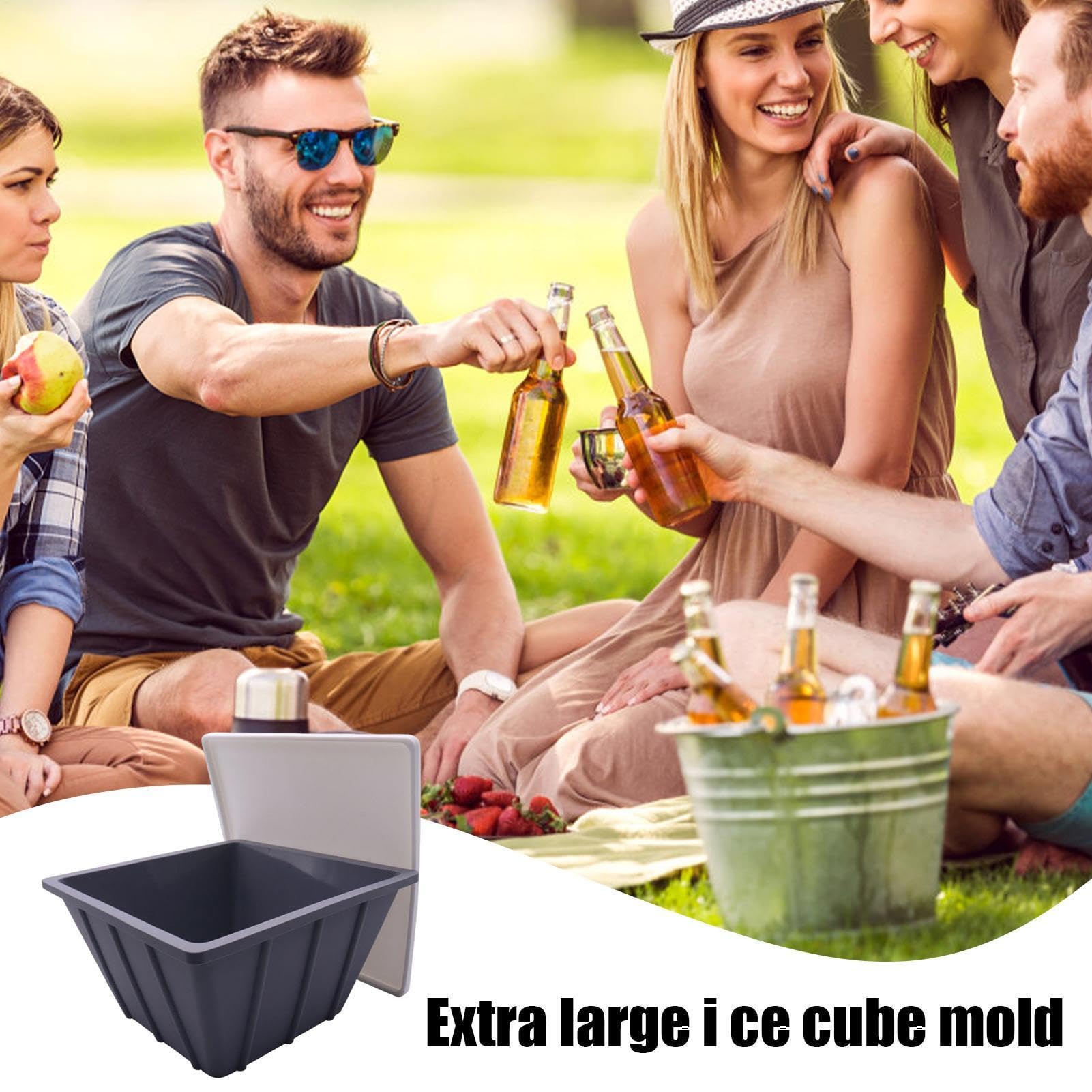 Forma Ghiaccio Cold Plunge Raffreddamento Bevande, Vassoio Grande,