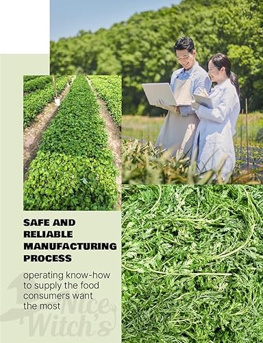 Miniatura 7 de NICE WITCH'S Polvo de ajenjo dulce coreano 100% puro, 6.00 oz 6 onzas, Artemisia Annua, natural,