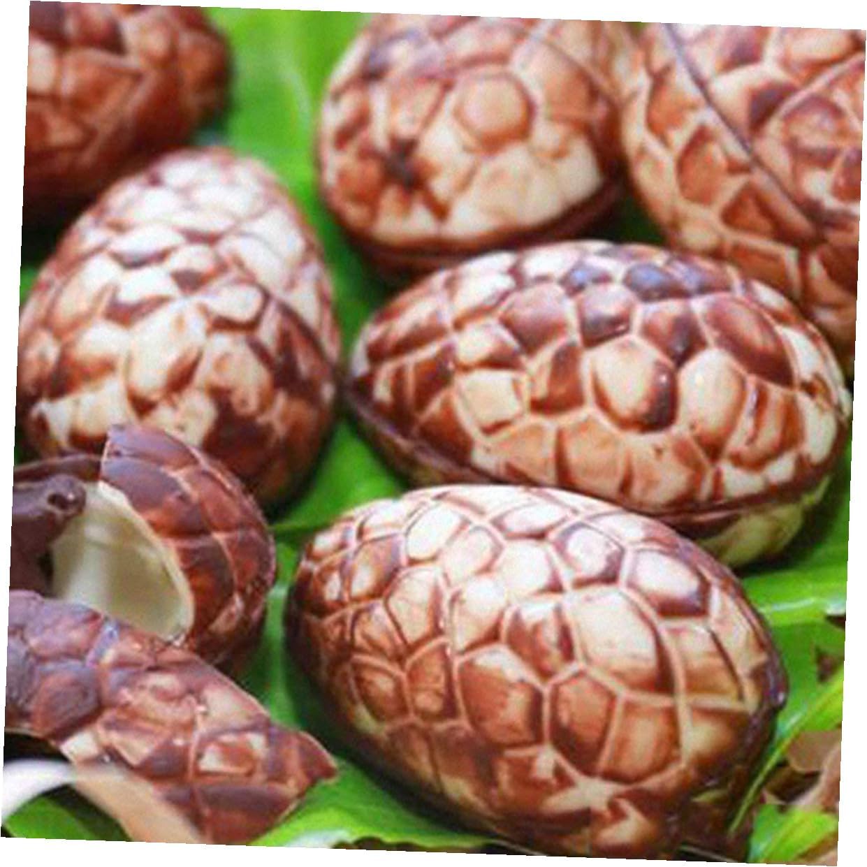 3 Sets Dinosaur Egg Chocolate Mold Household Baking Mold Reusable 3d Egg-shaped for Easter Spring Party Baking Supplies