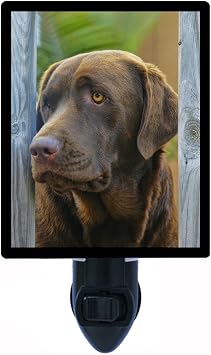 Dog Night Light, Chocolate Lab, Labrador Retriever, Dogs