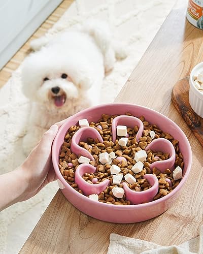 Vista 21 de LE TAUCI Cuencos de cerámica para perros de alimentación lenta, 3 tazas de alimentación lenta, tazón para perros de raza mediana y grande, cuenco
