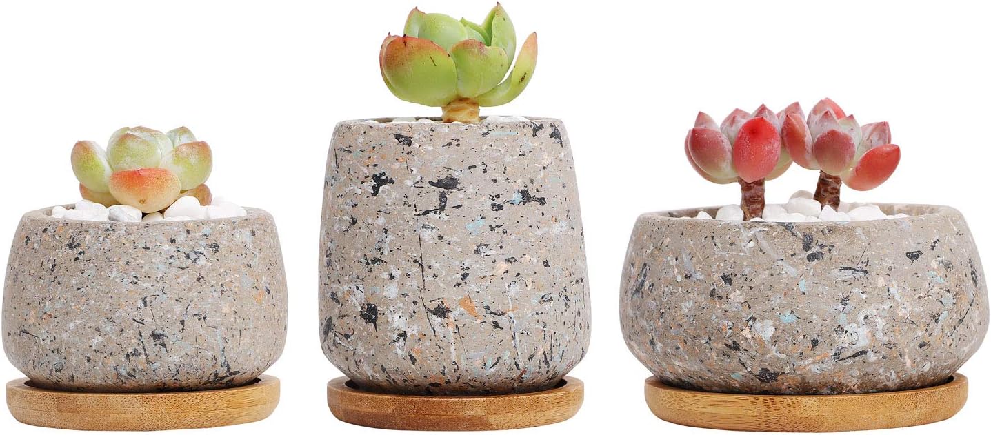 T4U 2.5Inch - 3.5 Inch Cement Succulent Cactus Pot, Concrete Planter Pot Container Window Box, Small Clay Pot for Plants Flowers with Drainage Bamboo Tray for Home Decor, Set of 3(Gray)